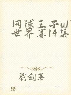 网球王子u17世界赛14集