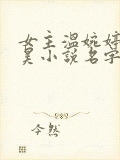 女主温婉婷霍宇昊小说名字