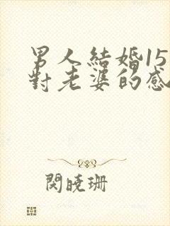 男人结婚15年对老婆的感觉