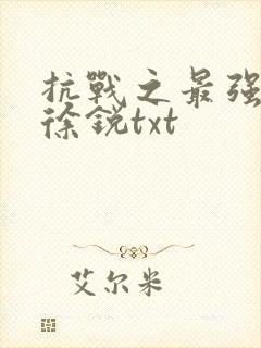 抗战之最强兵王徐锐txt