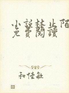 小说林止陌穿越免费阅读