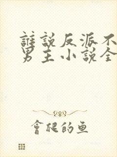 谁说反派不能当男主小说全文