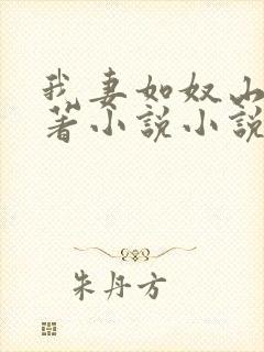 我妻如奴山庄原著小说小说