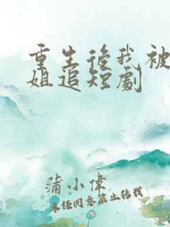 重生后我被大小姐追短剧