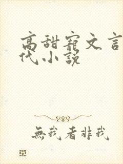 高甜宠文言情现代小说