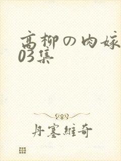 高柳の肉嫁动漫03集