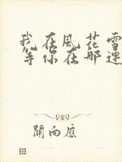 我在风花雪月里等你在哪连载