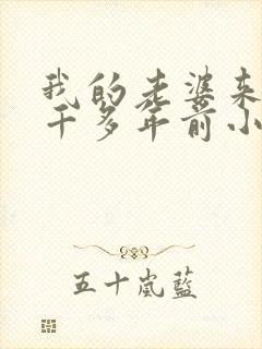 我的老婆来自一千多年前小说结局