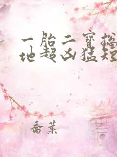 一胎二宝总裁爹地超凶猛短剧