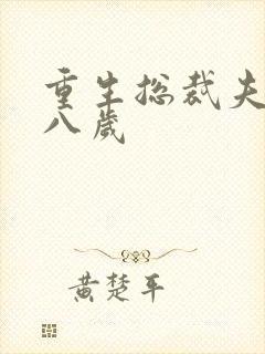 重生总裁夫人十八岁