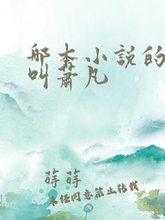 哪本小说的主角叫萧凡