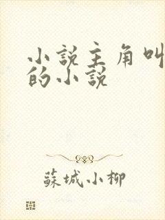 小说主角叫江辰的小说