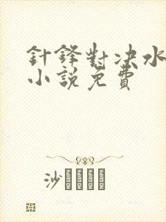 针锋对决水千丞小说免费