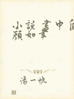 小说 书中自有颜如聿