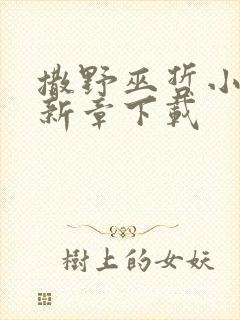 撒野巫哲小说最新章下载