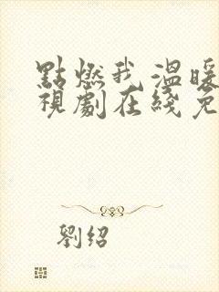 点燃我温暖你电视剧在线免费观看