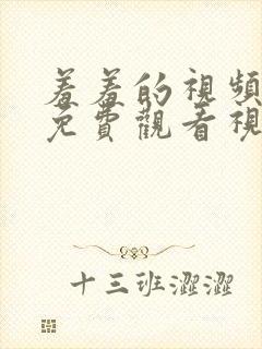 羞羞的视频在线免费观看视频