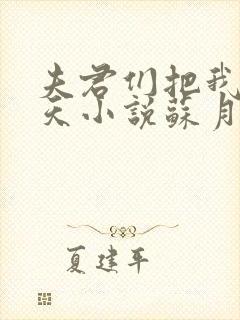 夫君们把我宠上天小说苏月瑶免费阅读