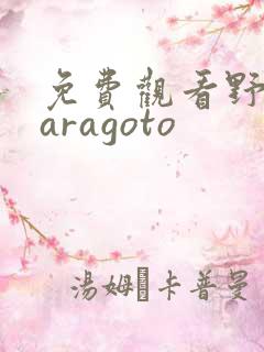 免费观看野良神aragoto