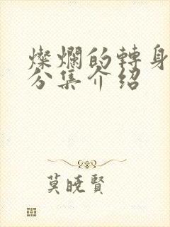 灿烂的转身剧情分集介绍