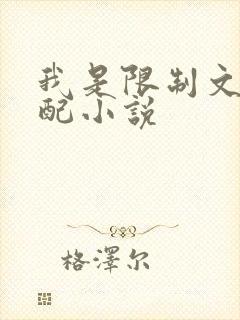我是限制文的女配小说
