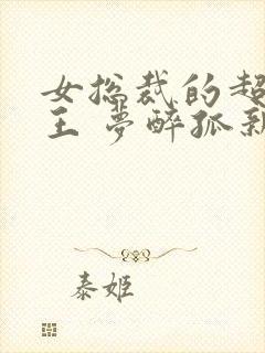 女总裁的超级兵王 梦醉孤新