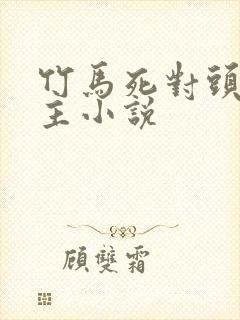 竹马死对头双男主小说