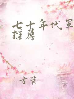 七十年代军婚文推荐