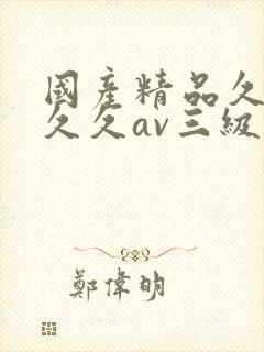 国产精品久久久久久av三级