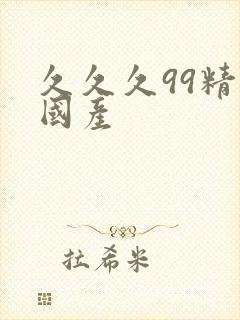 久久久99精品国产