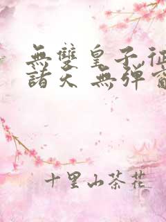 无双皇子,征战诸天 无弹窗