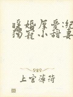 暖婚厚爱:纪总独宠小甜妻