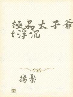 极品太子爷txt浮沉