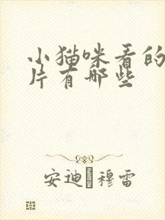 小猫咪看的动画片有哪些