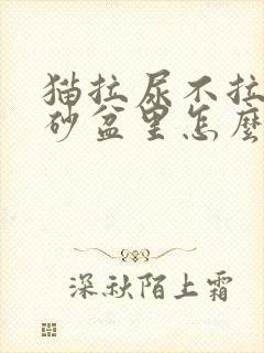 猫拉尿不拉在猫砂盆里怎么办