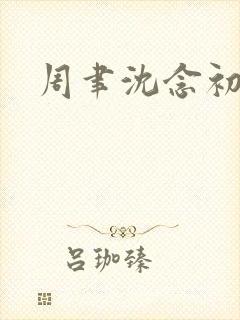 周聿沈念初小说