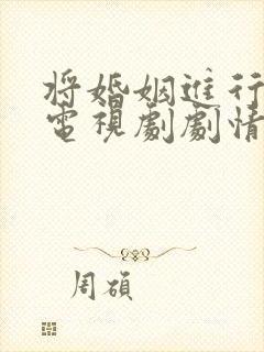 将婚姻进行到底电视剧剧情分集介绍