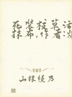 死装校草活该被抹布,作者:炉香炉香