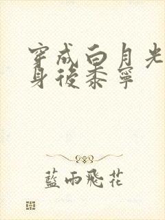 穿成白月光的替身后黍宁