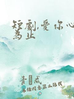 短剧,爱你心动为止