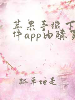 苹果手机下载软件app内购买是什么意思