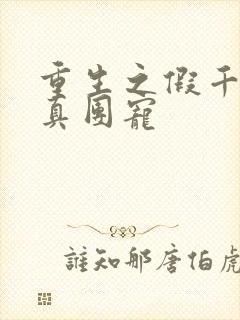 重生之假千金是真团宠