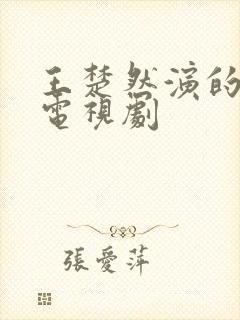 王楚然演的全部电视剧