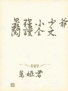 最强小少爷全文阅读全文