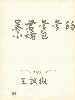 暴君爹爹的团宠小娇包