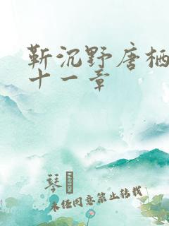 靳沉野唐栖雾二十一章