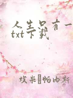 人生只有一件事txt下载