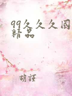 99久久久国产精品
