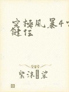 究极风暴4电脑键位