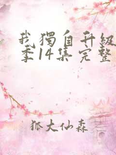 我独自升级第二季14集完整版